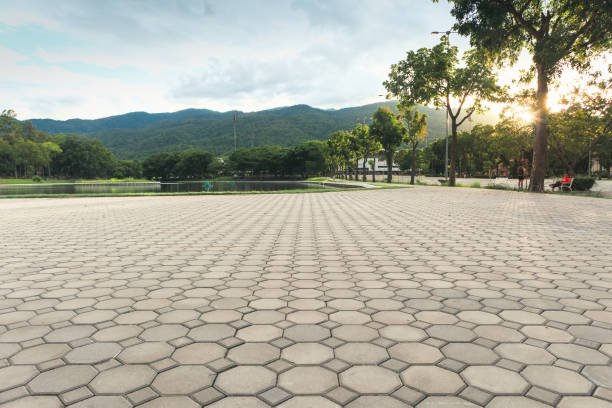 Professional Driveway Pavers in Burnham, IL